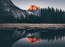 勒韦尔首当第六人大获成功 纳什望他成为篮网马努